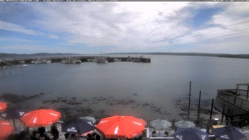 Digby Harbour
