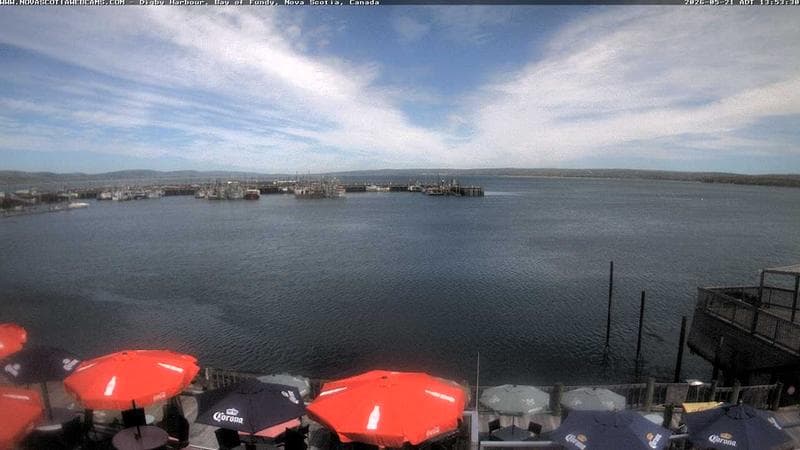 Digby Harbour
