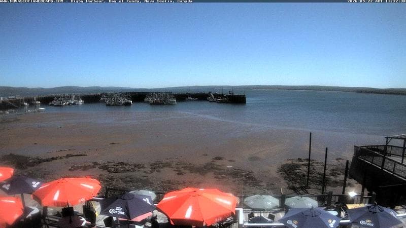 Digby Harbour