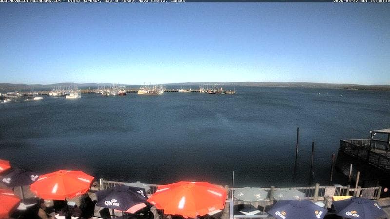 Digby Harbour