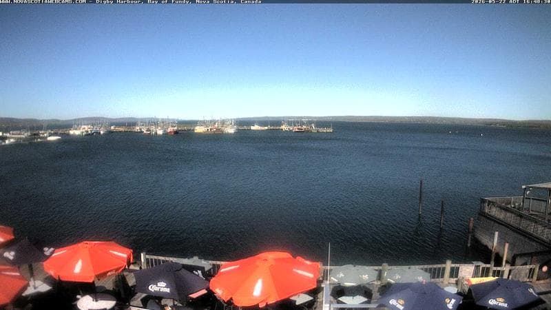 Digby Harbour