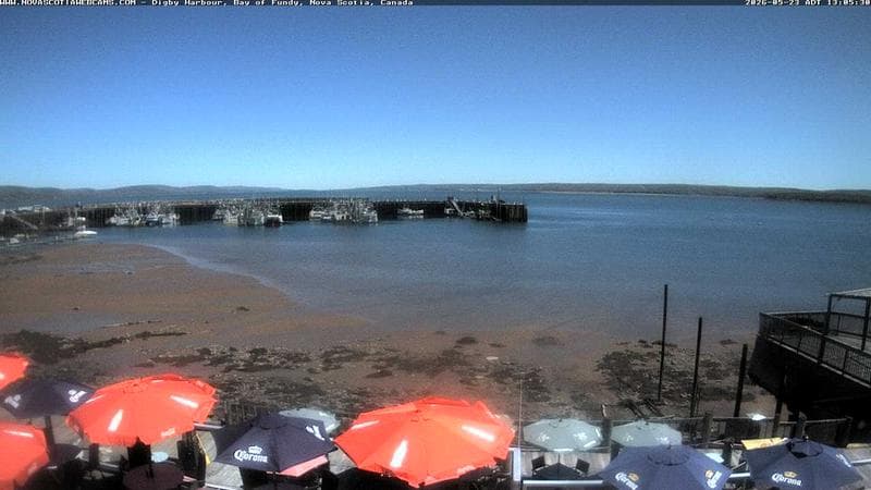 Digby Harbour