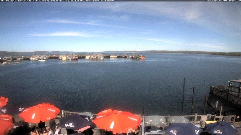 Digby Harbour