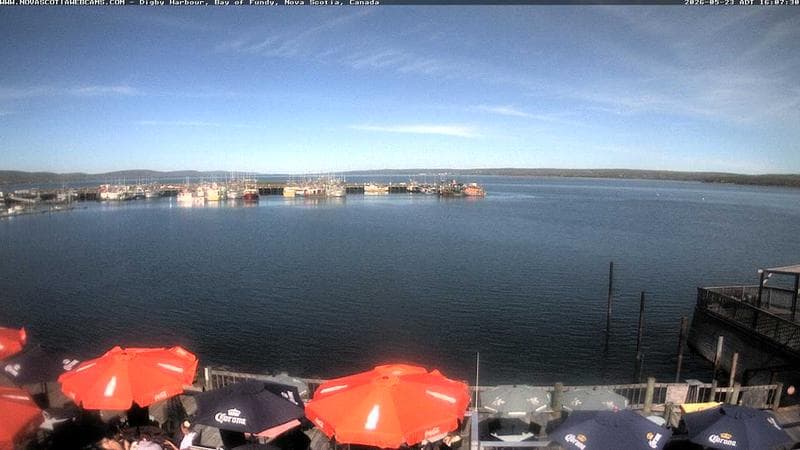 Digby Harbour