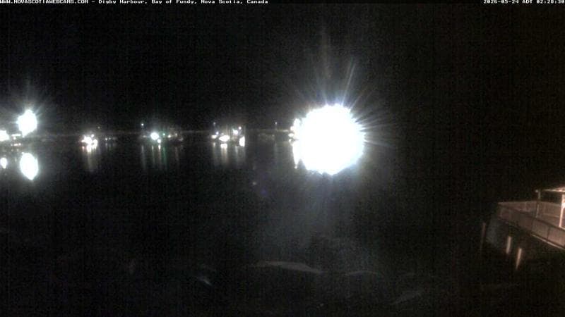 Digby Harbour