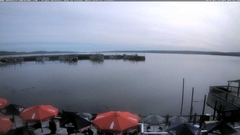 Digby Harbour
