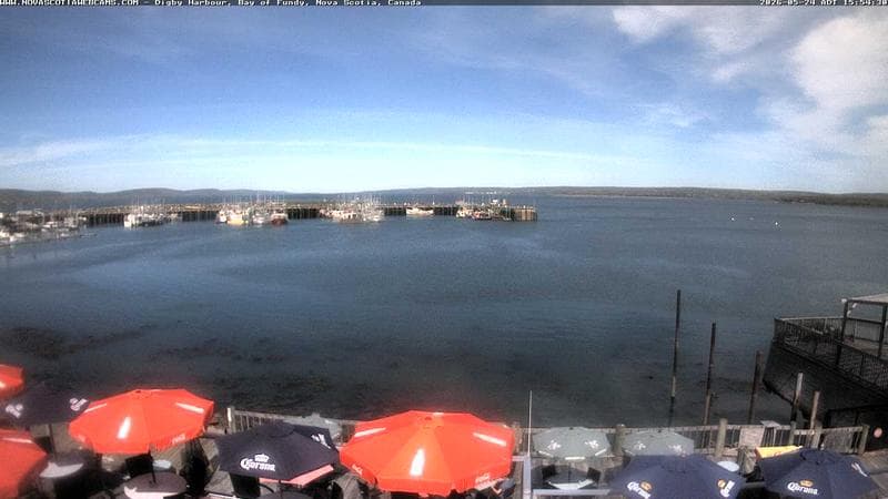 Digby Harbour
