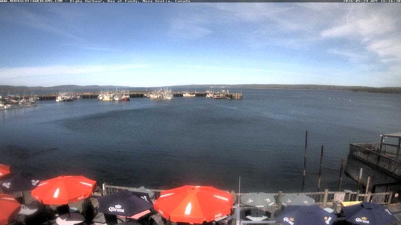 Digby Harbour