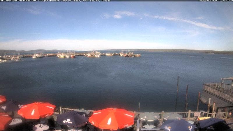 Digby Harbour