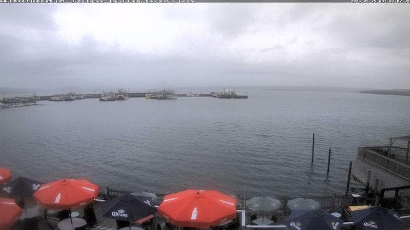 Digby Harbour