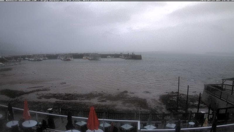 Digby Harbour