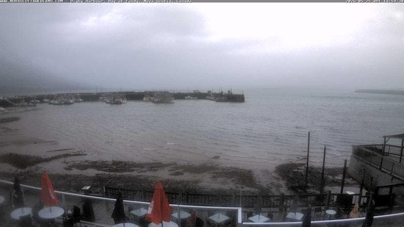 Digby Harbour