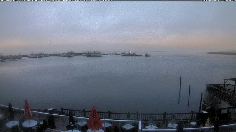 Digby Harbour