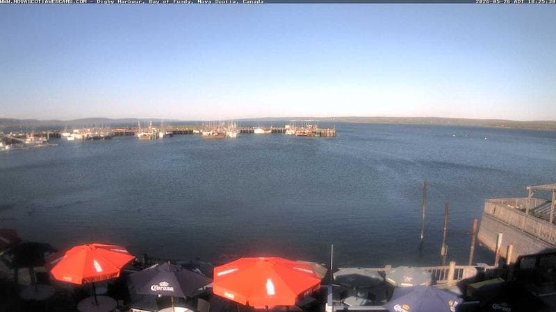 Digby Harbour