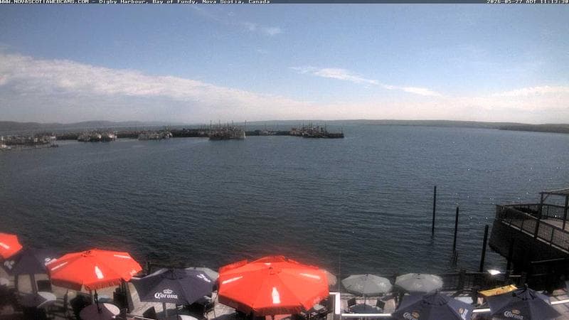 Digby Harbour