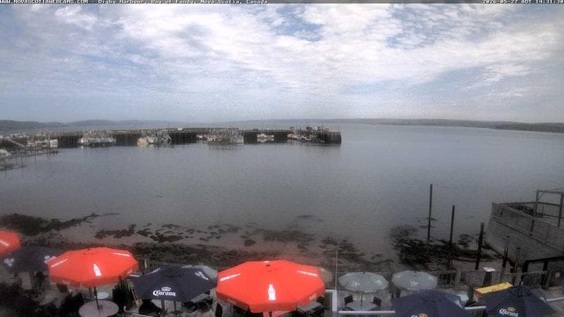 Digby Harbour