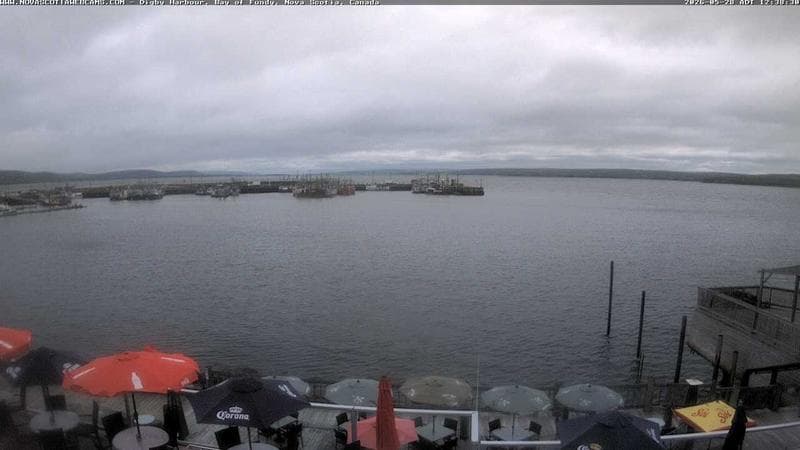 Digby Harbour