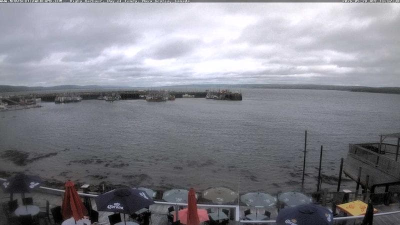 Digby Harbour