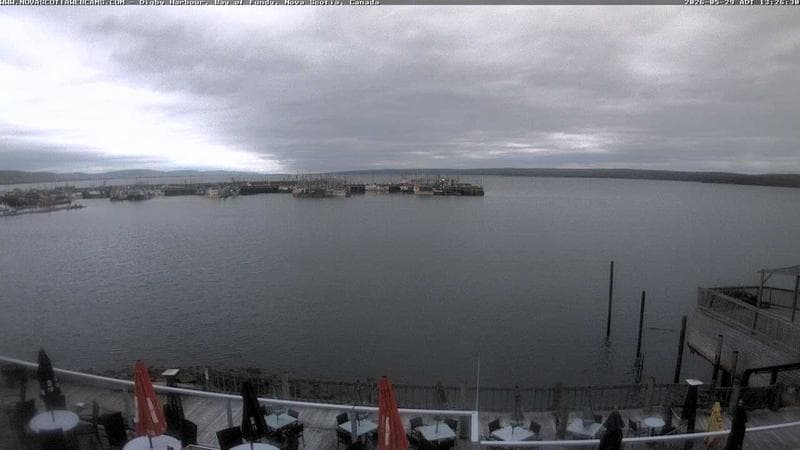 Digby Harbour