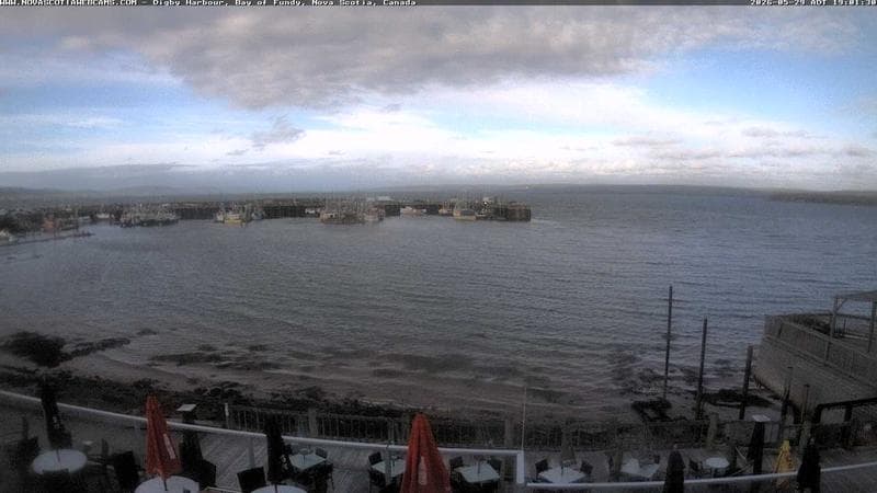 Digby Harbour