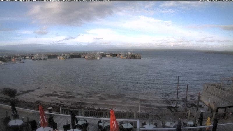 Digby Harbour