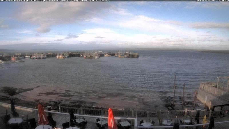 Digby Harbour