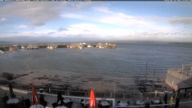 Digby Harbour