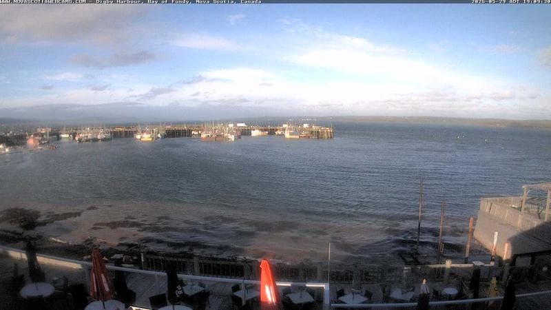 Digby Harbour