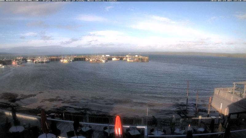 Digby Harbour