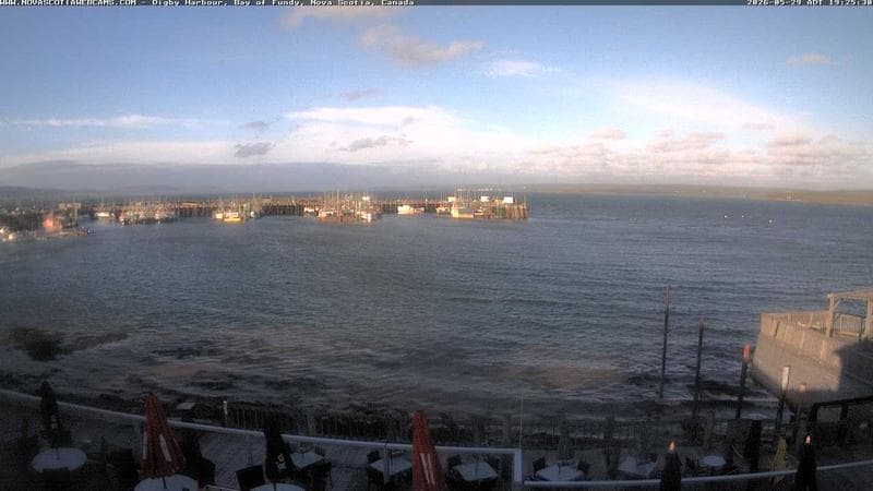 Digby Harbour