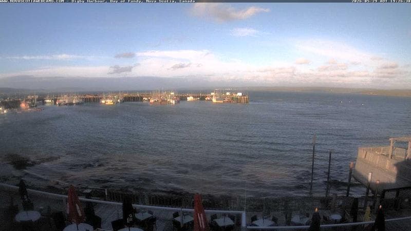 Digby Harbour