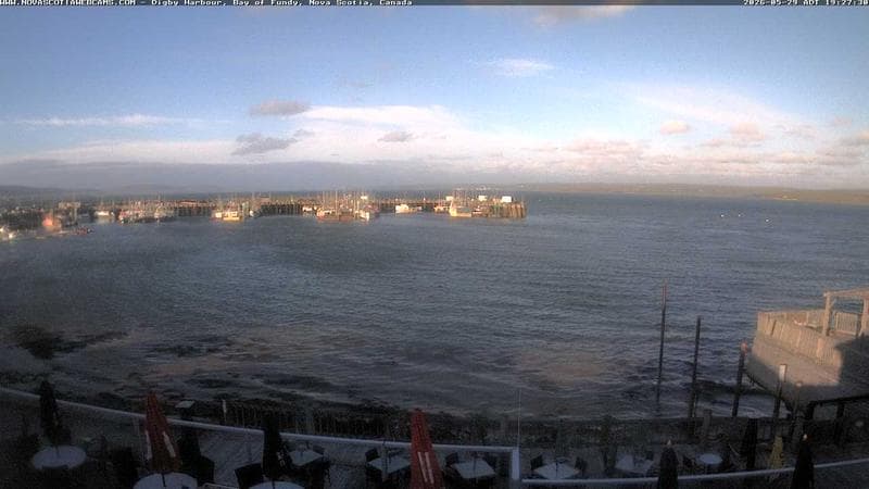 Digby Harbour