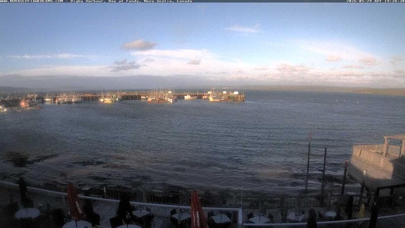 Digby Harbour
