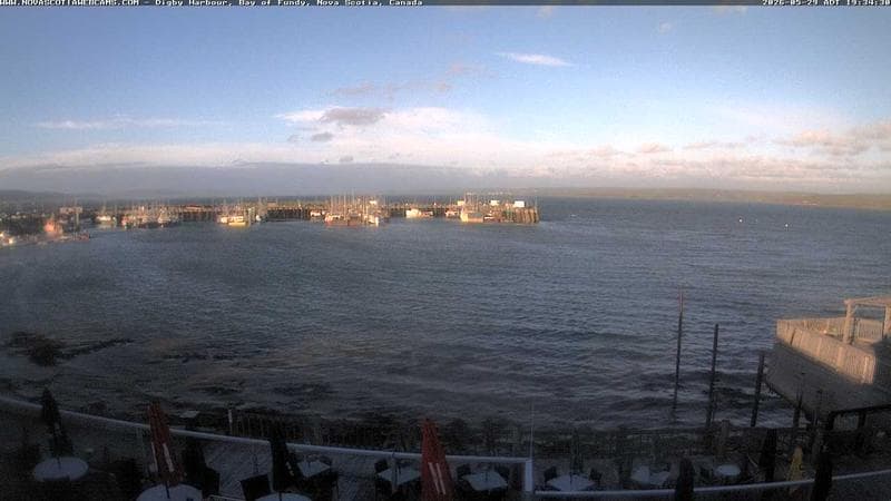 Digby Harbour