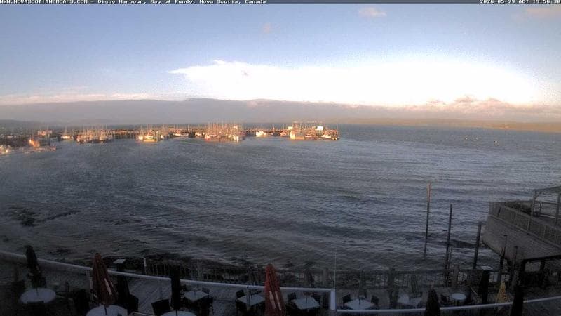 Digby Harbour