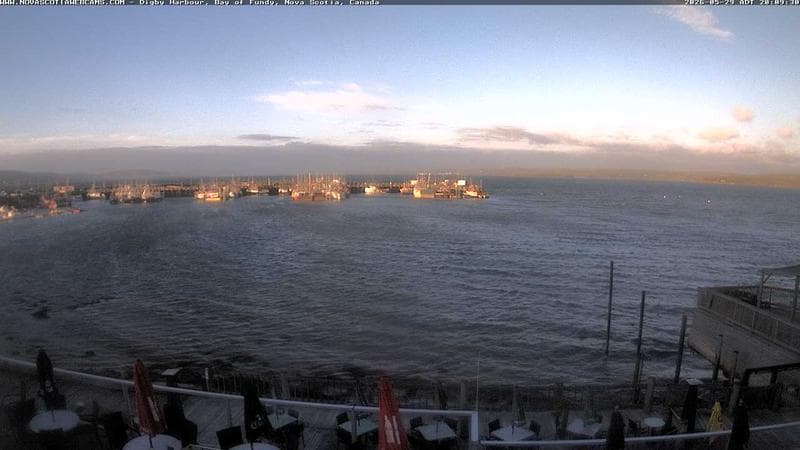 Digby Harbour