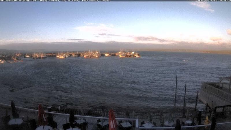 Digby Harbour