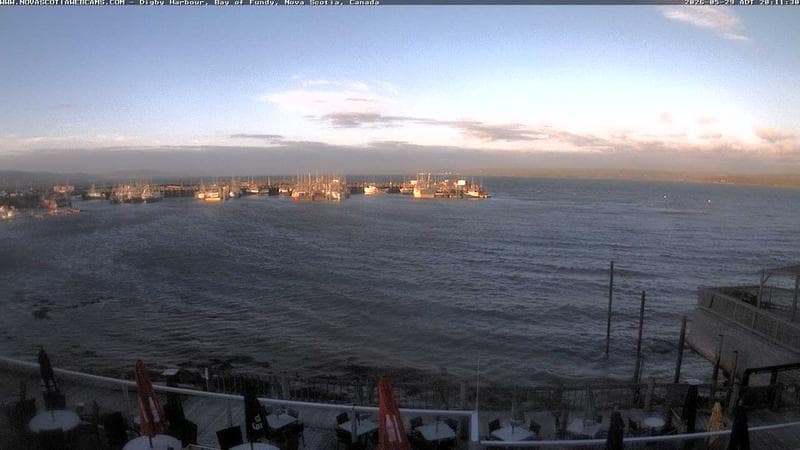 Digby Harbour