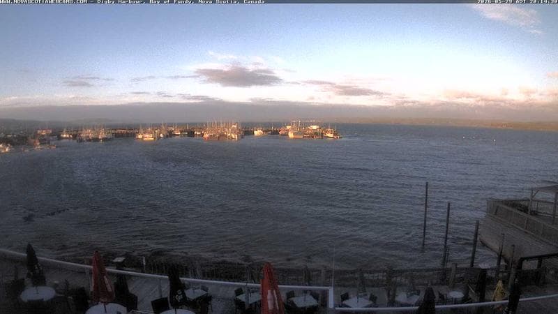 Digby Harbour