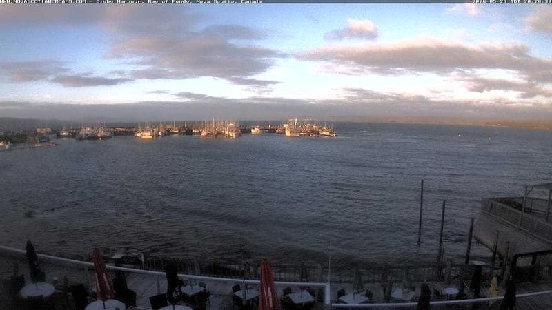 Digby Harbour