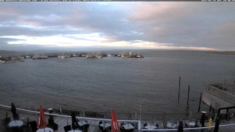 Digby Harbour