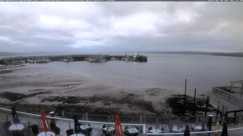 Digby Harbour