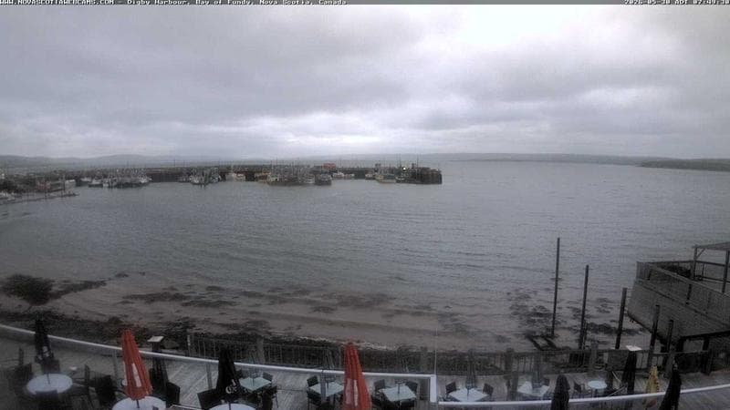 Digby Harbour
