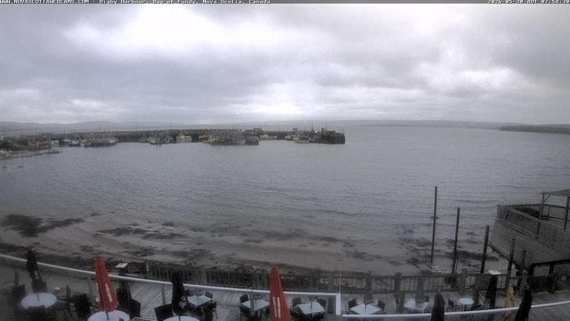 Digby Harbour