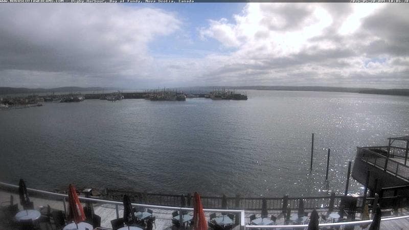 Digby Harbour