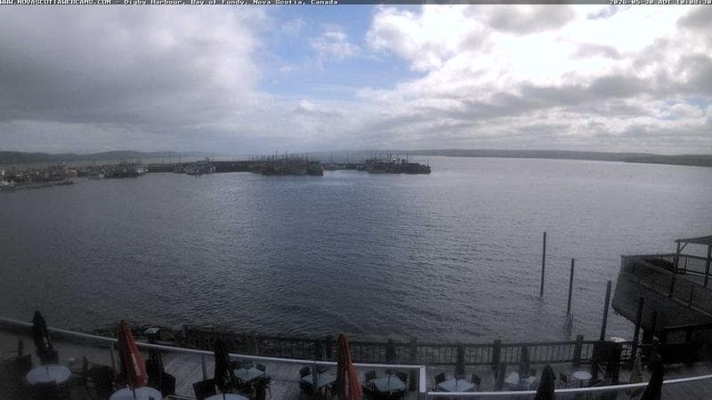 Digby Harbour