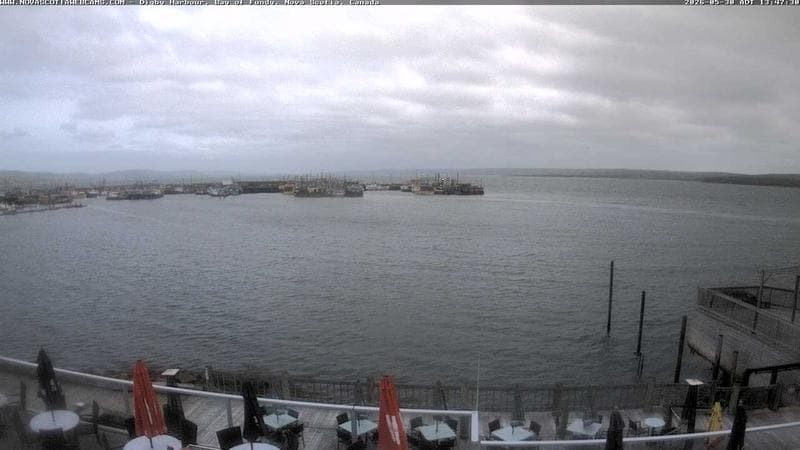 Digby Harbour