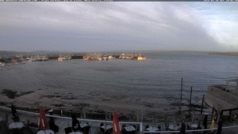 Digby Harbour