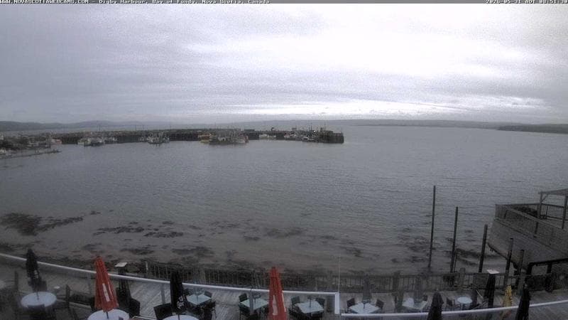 Digby Harbour