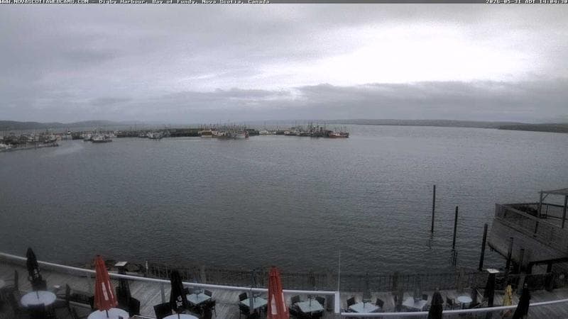 Digby Harbour